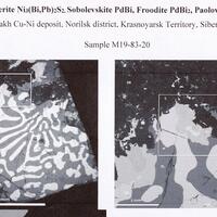 Paolovite Parkerite Sobolevskite & Froodite