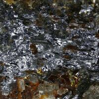 Costibite & Paracostibite