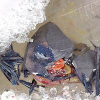 Hatchite & Lengenbachite