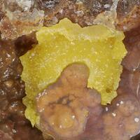 Schlegelite Petitjeanite Sillénite & Native Bismuth