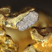 Altaite On Gold