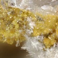 Nickeltsumcorite & Annabergite