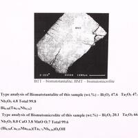 Bismutotantalite & Bismutomicrolite