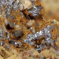 Bornhardtite & Trogtalite In Clausthalite