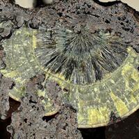 Dufrénite Kidwellite & Strengite