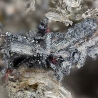 Acanthite & Chlorargyrite