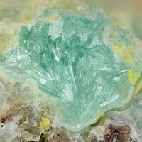 Plumbophyllite