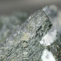 Magnesio-ferri-fluoro-hornblende