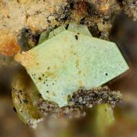 Metanováčekite & Metaheinrichite