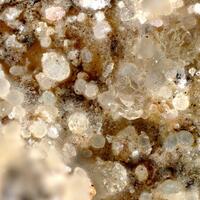 Camgasite Schröckingerite & Monohydrocalcite