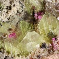 Metaheinrichite & Cobaltkoritnigite