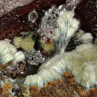 Laubmannite & Kidwellite