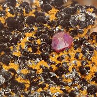 Cuprite & Delafossite