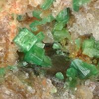Metanováčekite & Metazeunerite