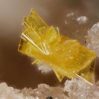 Cornubite Psm Walpurgite Cornwallite Agardite-(Nd) & Mixite