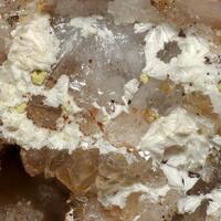 Austinite & Arsendescloizite