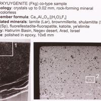 Fluorkyuygenite & Shulamitite