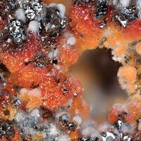 Cassiterite & Hematite