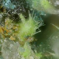 Plášilite Svornostite-(NH4) & Bluelizardite