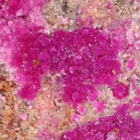 Cobaltkoritnigite & Moorhouseite