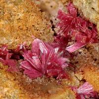 Metanováčekite Metaheinrichite & Erythrite