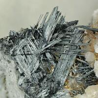 MinTreasure: 20 Jan - 26 Jan 2026