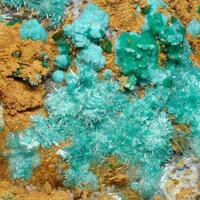 Kapellasite & Herbertsmithite