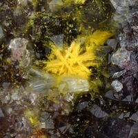 Macquartite & Willemite