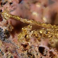 Gold Electrum & Erythrite