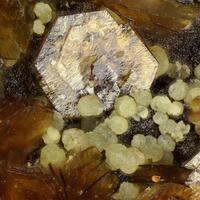 Lipscombite & Jarosite