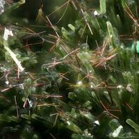 Alumoklyuchevskite & Lyonsite