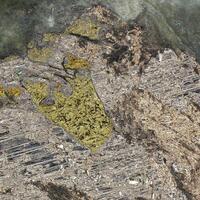 Mackinawite With Cubanite & Maucherite