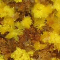 Marécottite & Natrozippeite