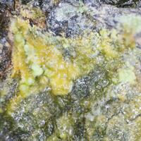 Leesite & Cuprosklodowskite