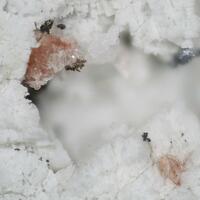 Synchysite-(Ce) & Breithauptite