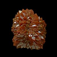 Jacinto De Compostela