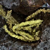 Gold & Electrum On Erythrite