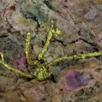 Gold & Electrum On Erythrite