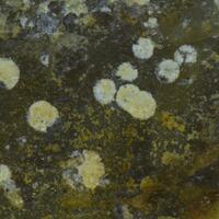 Koechlinite & Bismutite