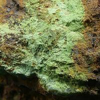 Barahonaite-(Fe) & Cornubite