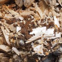 Sigloite Paravauxite & Childrenite