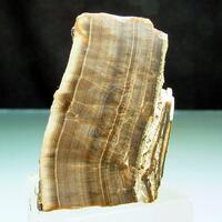 Baryte Var Oakstone