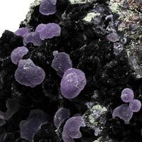 Strengite & Rockbridgeite