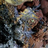 Hutchinsonite Orpiment & Gratonite