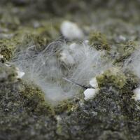 Datolite On Mordenite