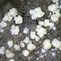 Hoelite With Kladnoite