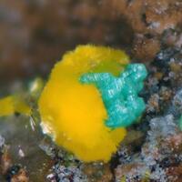 Joliotite Metatorbernite & Phosphuranylite