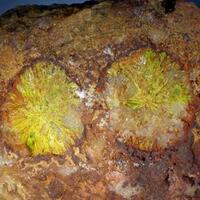 Rodalquilarite & Jarosite