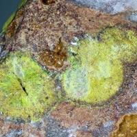 Rodalquilarite Jarosite & Gold