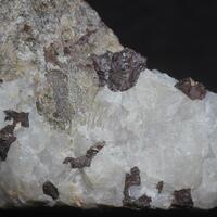 Gamagarite
